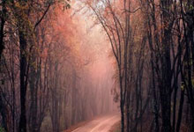 九游娱乐首页-铁血申花客扬威!特谢拉穿云箭引爆魔鬼主场