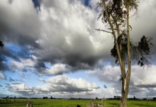 九游APP-德甲惊魂夜!哈兰德轰穿铁幕拜仁险胜暗藏王朝裂痕