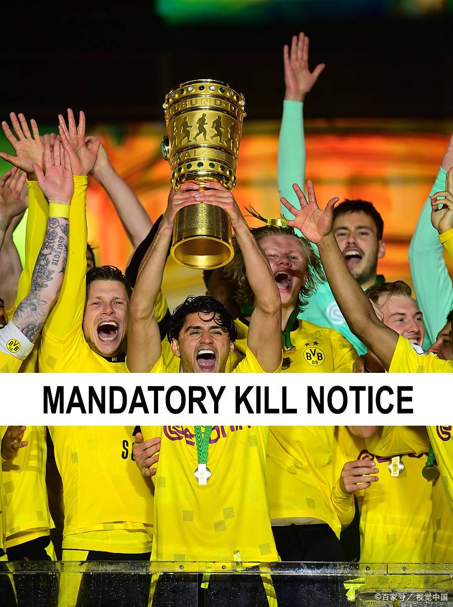 九游娱乐app下载-巴西排球队斩获冠军,夺取桂冠