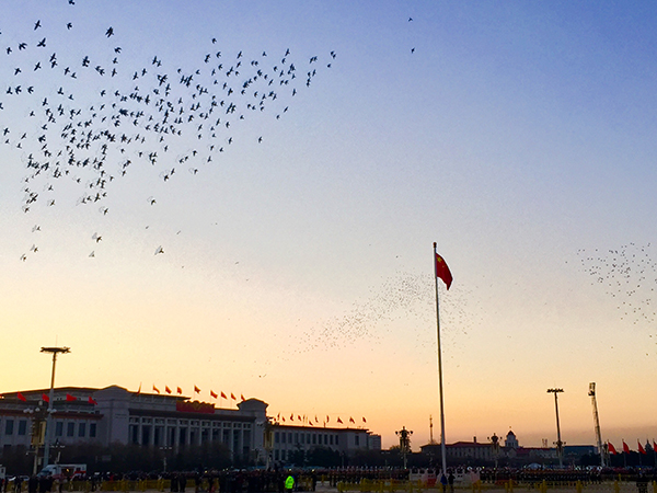 欧预赛赛场热血澎湃,球迷热情高涨 欧预赛赛场热血澎湃,球迷热情高涨