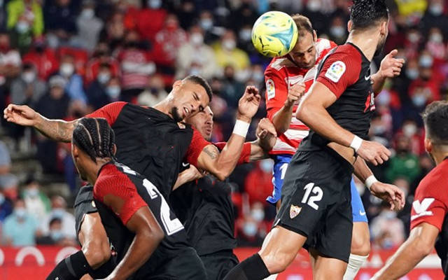 公牛队连战连捷,全队士气高涨的简单介绍 公牛队连战连捷,全队士气高涨的简单介绍