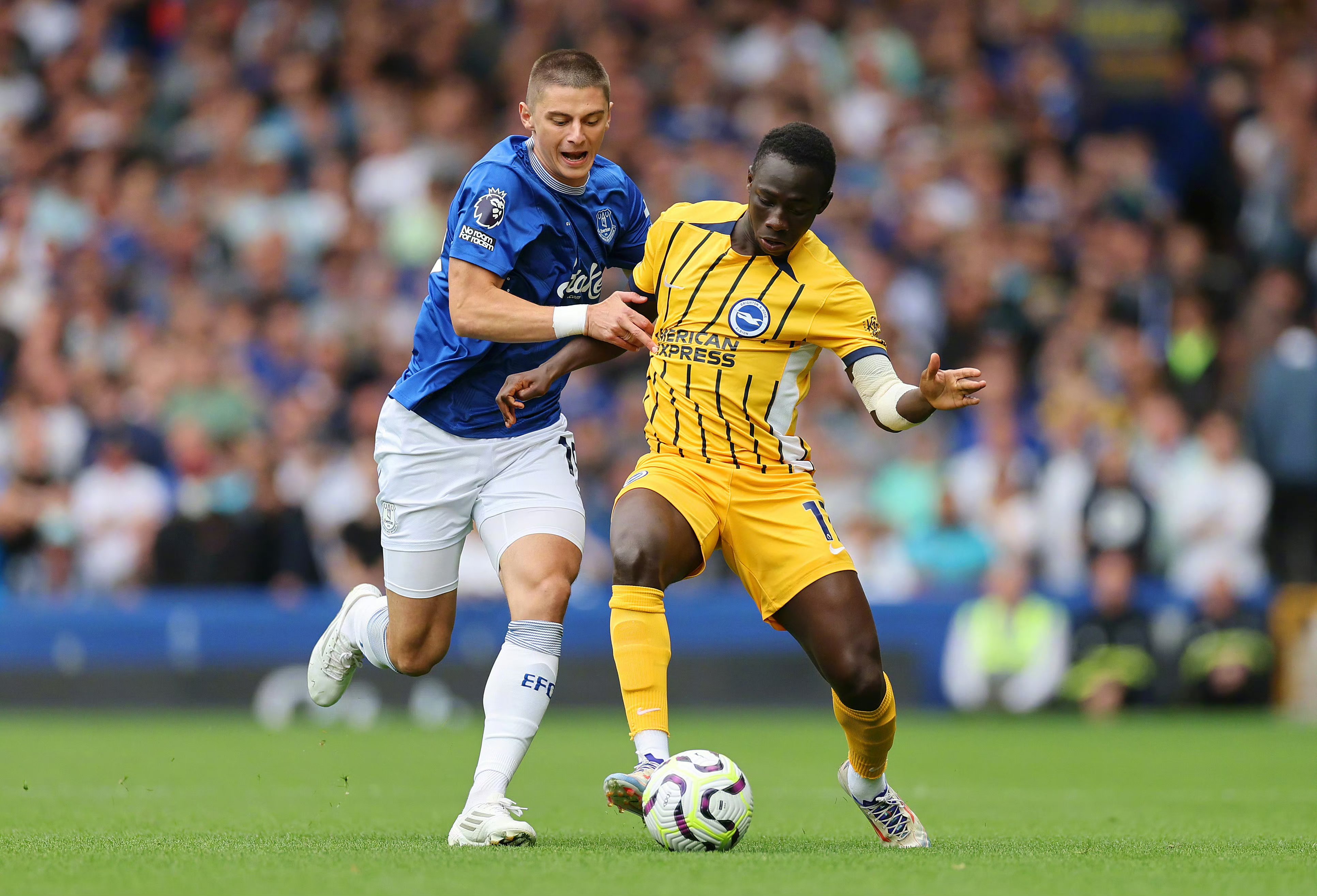 九游VIP-布莱顿客场比击败对手,提升排名的简单介绍