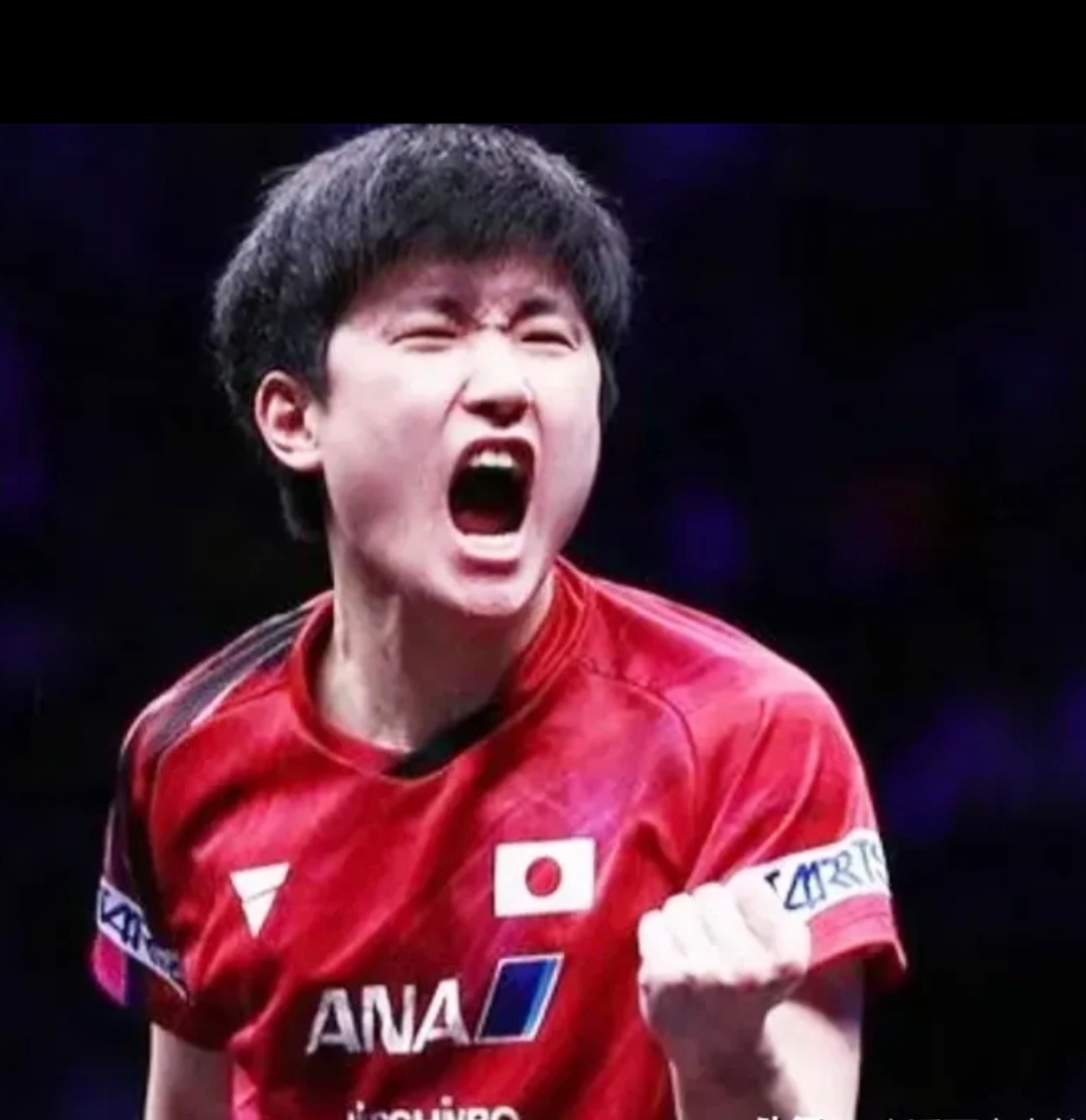 波兰队横扫韩国队,张本智和扛起全队的简单介绍 波兰队横扫韩国队,张本智和扛起全队的简单介绍